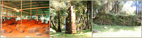 Ruinas de Loreto, San Ignacio Misiones